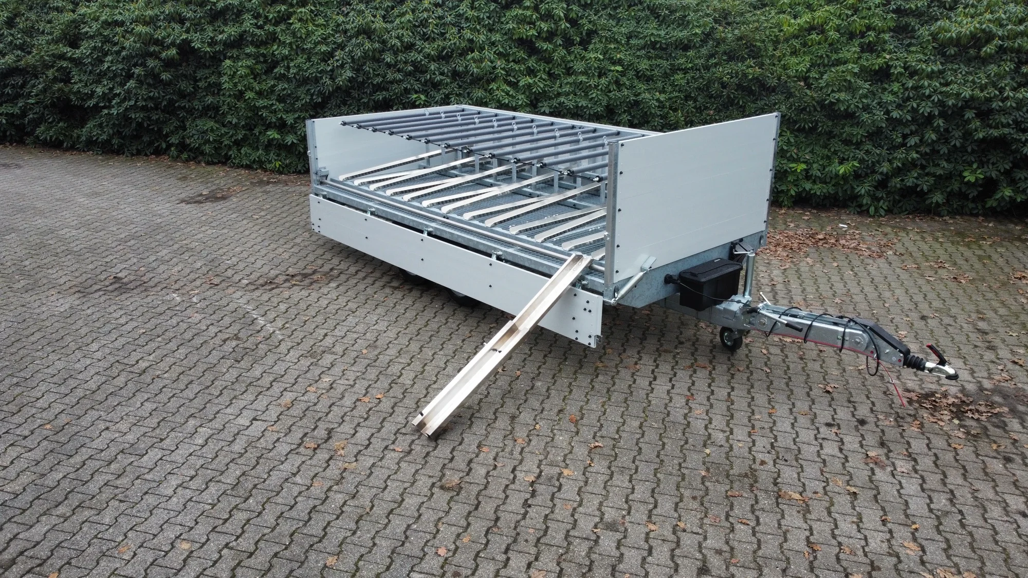 Projekt 10